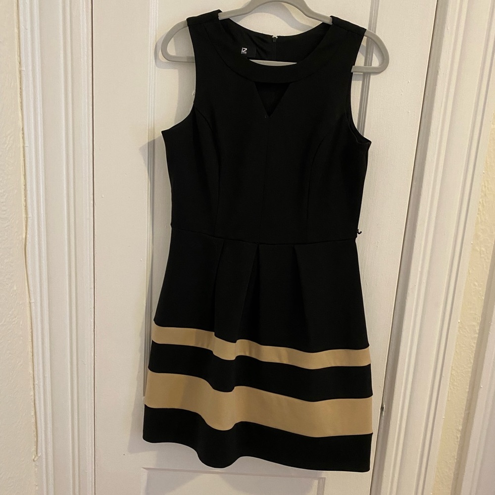 Black dress with tan stripes